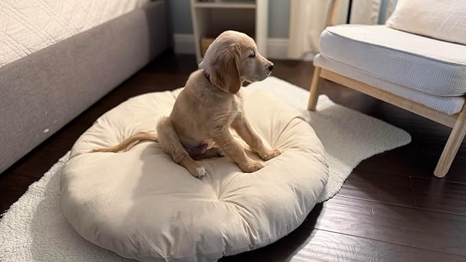 Round Dog Bed Insert Natural – Muslin Cotton Cover with Raw Cotton Filling, Breathable, Plastic-Free, Replacement Cushion (X Large 42" x 4")
