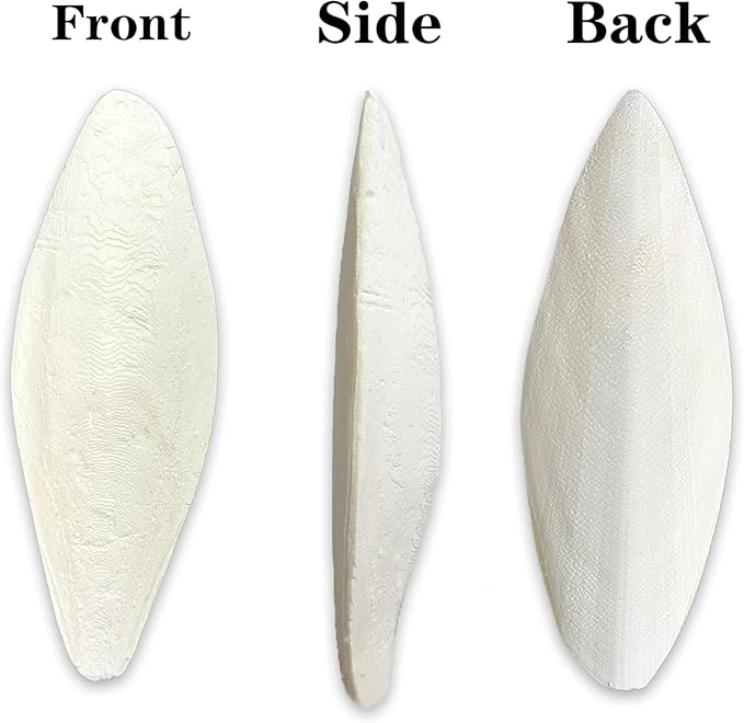 5.5"-7.1" Large Bird Cuttlebone for Parakeets, Cuddle Bone with Plastic Holder, Cuttlefish Bone for Sharp Beaks, Natural Birds Calcium Suitable for Parrots Cockatiels Budgie, 3pcs