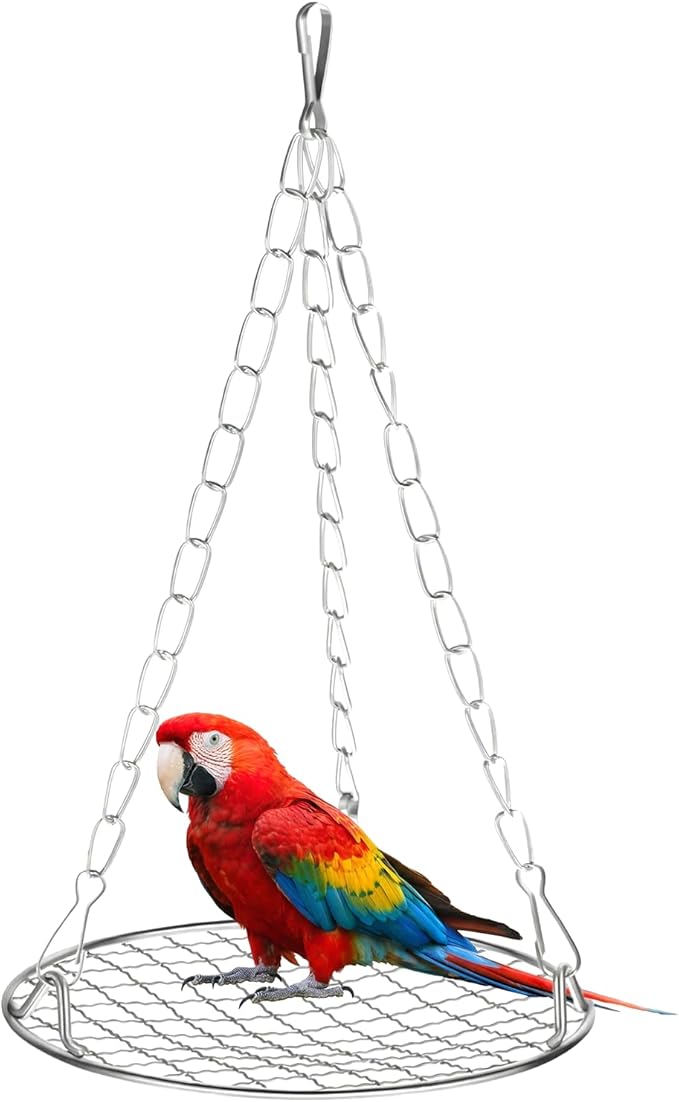 Bird Swing Stainless Steel Bird Swing for Cage Hanging Parakeet Swings Birds Cage Accessories to Balance Training Budgies Parrotlets Rat Sugar Gliders Small Animals