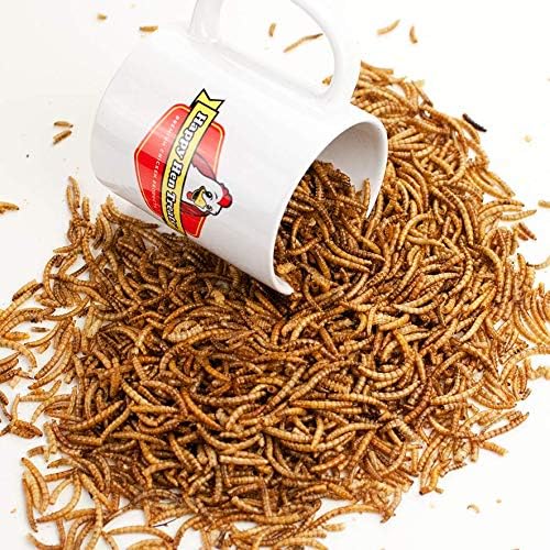 Mealworm Poultry Treats, 5-Lbs.