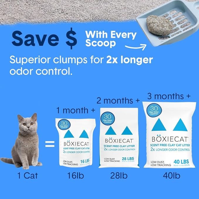 Boxie Unscented 30 Day Odor Control Clumping Clay Cat & Kitty Litter 16 lb, 99.9% Dust-Free, Hard Flat Top Clumps, No Fragrances No Fillers, Long-Lasting, Easy to Scoop (Pack of 2)