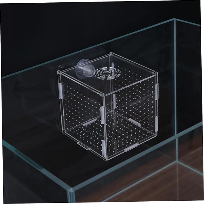 Modern Fish Tank Isolation Box Acrylic Fish Breeding Tank for Betta Guppy Suction Cups and Divider