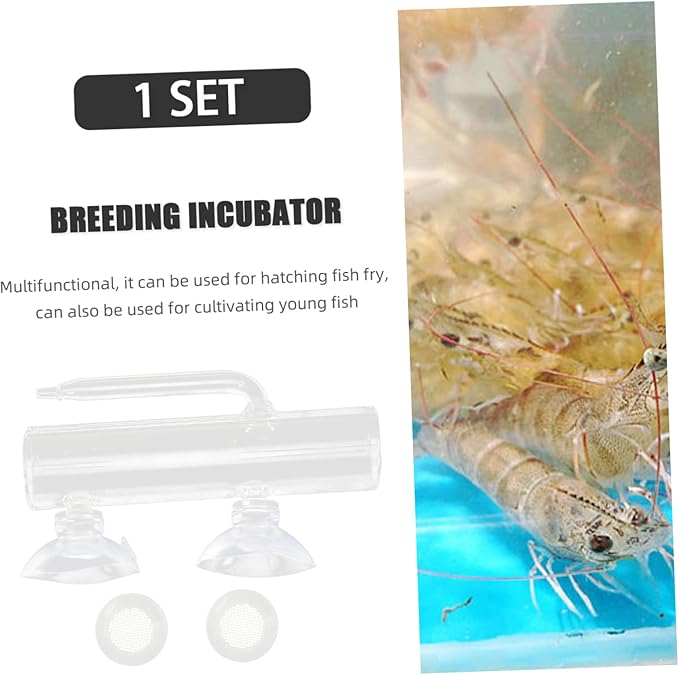 Homoyoyo 1set Cup Fish Incubator and Isolation Container for Fish Tanks Breeding Box for Hatching Prevents