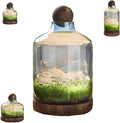 Ecological Aquarium Glass Fish Tank with Wooden Base Micro Landscape Self-circulating Hydroponic Plant Bottle Fish Bowl/Vase(L, B)