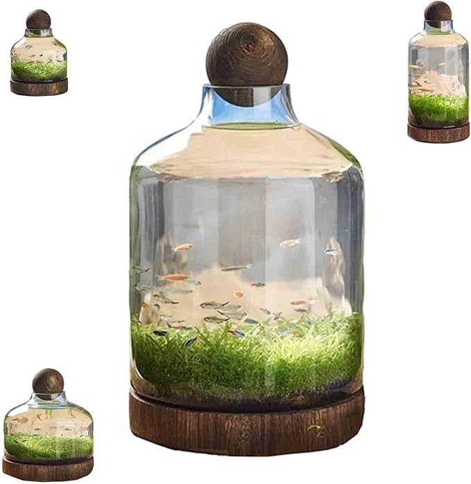 Ecological Aquarium Glass Fish Tank with Wooden Base Micro Landscape Self-circulating Hydroponic Plant Bottle Fish Bowl/Vase(L, B)
