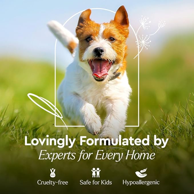 Puracy Natural Platinum Pet Stain and Odor Remover Plant-Powered Professional Pet Urine Odor Eliminator with Natural Enzymes Safe and Effective Carpet Pet Stain Remover and Cleaner, Cucumber & Mint