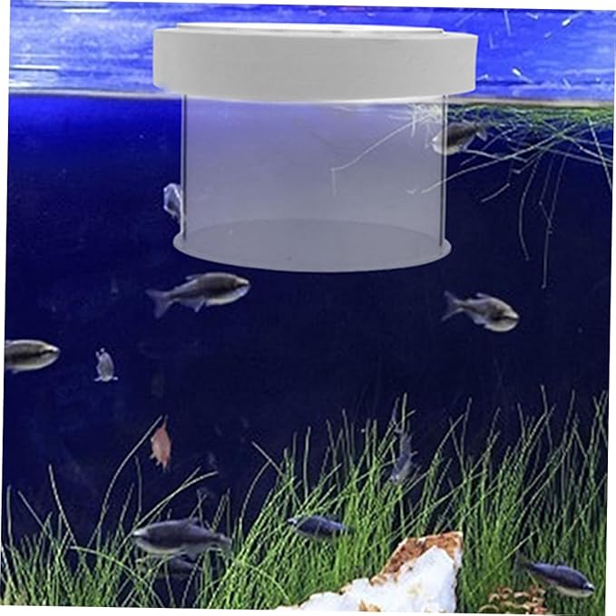 Mipcase Acrylic Fish Isolation Box for Shrimp Breeding Breeding Container Observation and Design for Aquarium Use and Fish Tank Divider