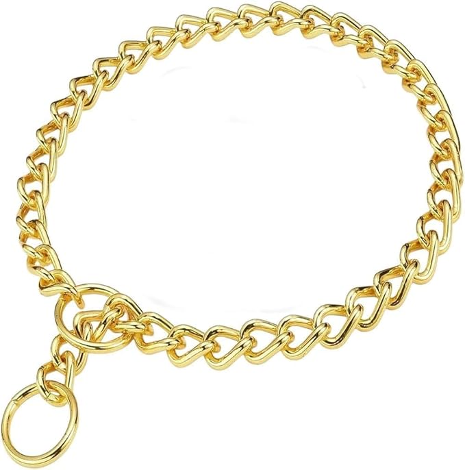 Chain Choke Collar for Dogs, Metal Slip Link Training Heavy Duty Dog Collar Martingale Puppy Collars for XXS XS Small Medium Large Big XL Breed Dogs (Gold, XS(Neck Max 12inch) D2.0mm)