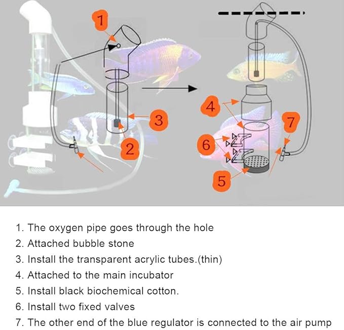HEEPDD Fish Egg Incubator, 50mm Aquarium Cichlids Hatchery Box, Breeding Isolation Tank for Fish