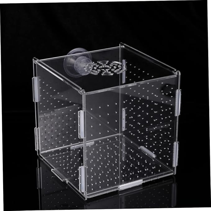 FRCOLOR Modern Fish Tank Isolation Box Clear Aquarium Breeding Box Suction Cup Ideal for Guppies and Betta