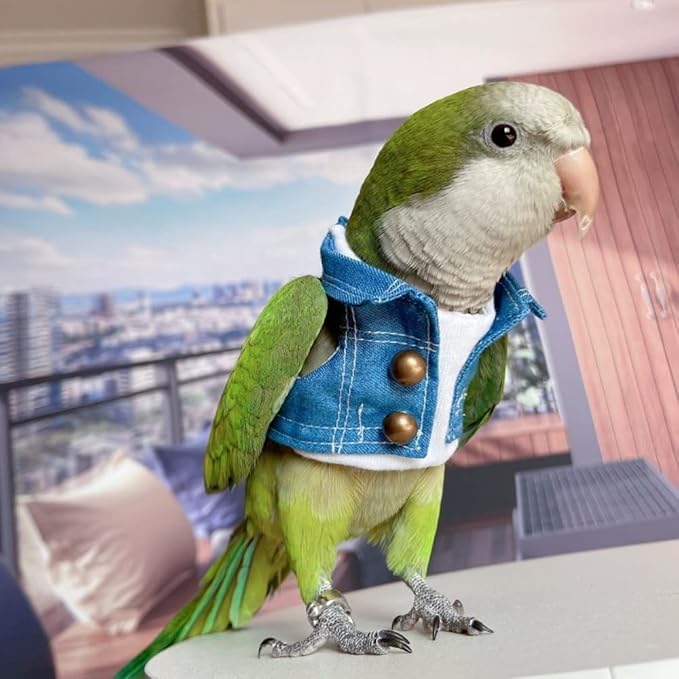 Bird Costume Bird Diaper Flight Suit Bird Jeans Fake Two Pieces Bird Clothes Cosplay Photo Prop for Parrots Lovebird Parakeet Cockatiel Small Animals Apparel (Without Diaper,Eclectus)