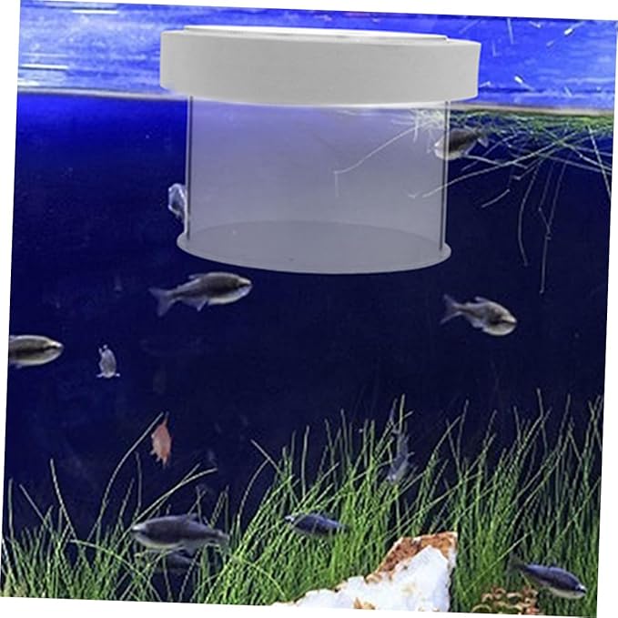 POPETPOP Fish Tank Isolation Box Acrylic Aquarium Breeding Box Fish Separator 360-degree Viewing Easy to Use