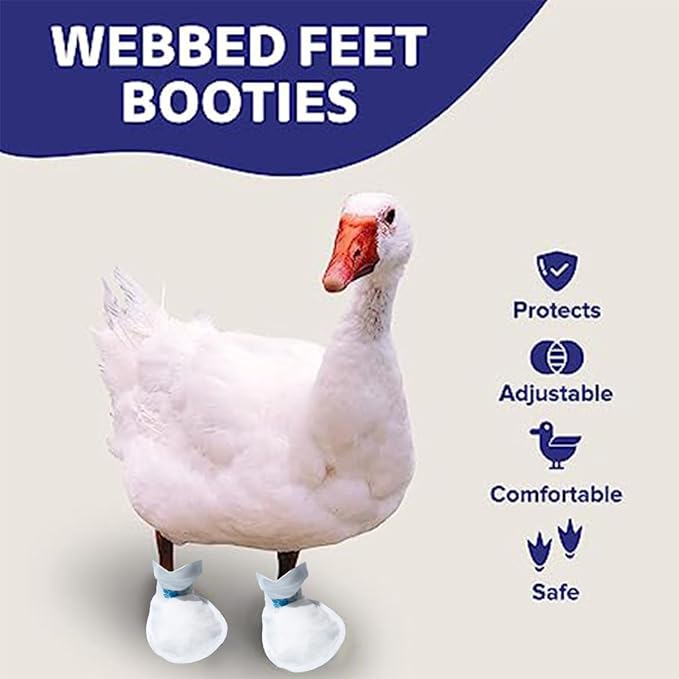 MANON ROSA Duck Shoes for Real Ducks Chickens 6-Pair Waterproof & Disposable Booties with Self-Adhesive Bandage for Waterfowl Wound Foot Care Bumblefoot (Dustproof Version,Small)