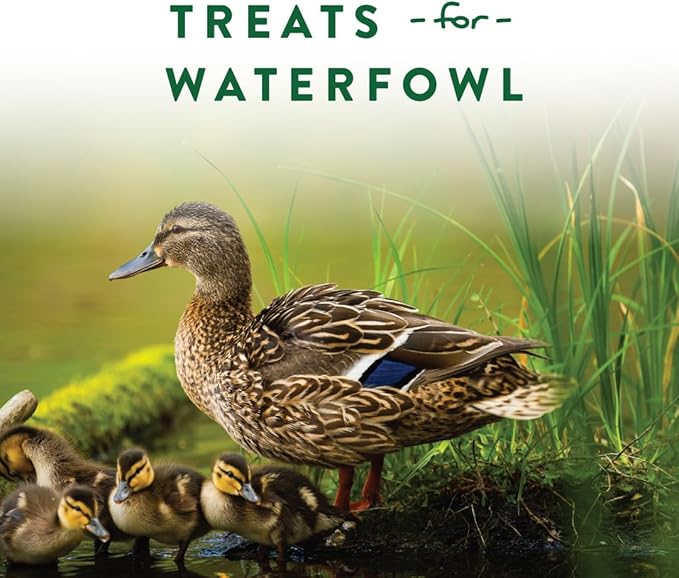 Manna Pro Duck Discs, Floating Duck Treats with 10% Protein, Made with Black Soldier Fly Larvae, Kelp & Alfalfa, Treats for Ducks & Waterfowl, 16 oz