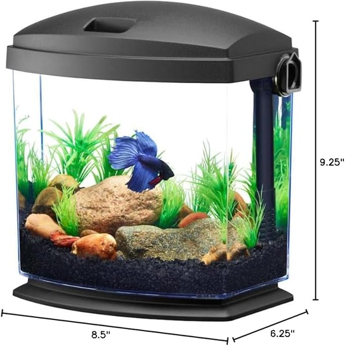 Aqueon BettaBow with Quick Clean Technology Aquarium Kit, Freshwater, Betta Fish, 1-Gallon, Black
