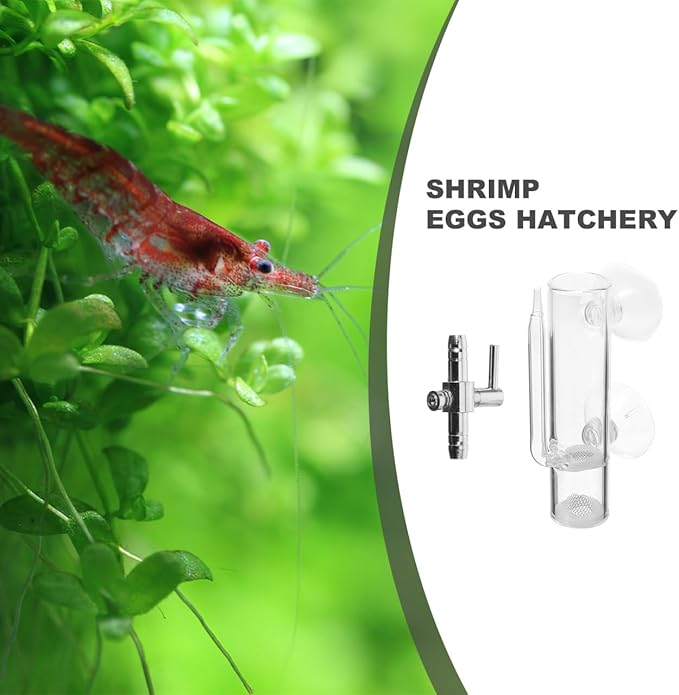 VOSAREA 1 Set Glass Shrimp Hatchery Box Suction Incubator for Brine Shrimp Eggs Fish Breeder Container with Isolation Design Easy to Clean for Aquatic Farming