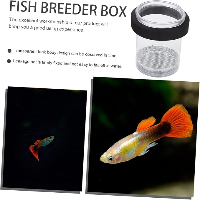 Guppy Breeder Box Aquarium Isolation Fish Hatchery Tank with Transparent Cover for Newborn Fry Protection and Pregnant Guppy Separation