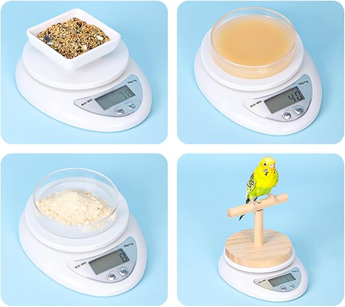 Parrot Weighing Scale – Bird, Electronic Scale | Small Animal Feeding Weight Tool for Xuanfeng Tiger Skin Peony, Measuring Bird Food Grain and Milk Powder for Daily Health Monitoring and Pet