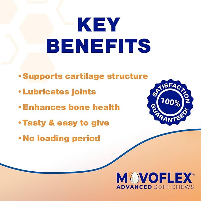 Advanced Soft Chews Hip and Joint Support Supplement for Small Dogs - Movoflex 120 Count by Virbac