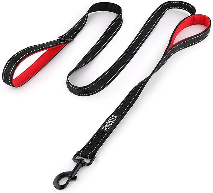 Heavy Duty Dog Leash - 2 Handles by Padded Traffic Handle for Extra Control, 6foot Long - Perfect for Medium to Large Dogs (6 ft, Black Red)