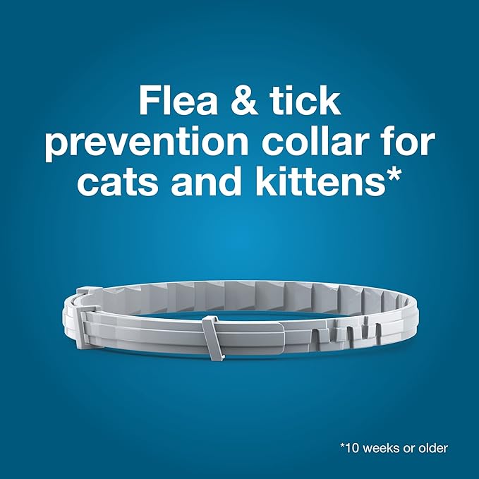Bundle of Seresto Cat Collar for Cats + Pet Protect Probiotic Balance+ Cat Supplement | Oral Gel | 15g