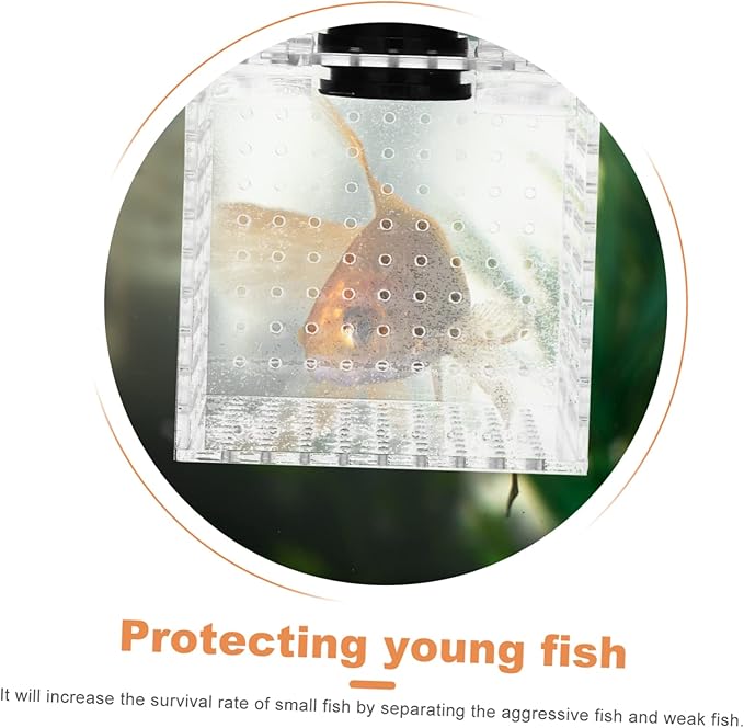 Garneck 1pc Magnetic Fish Isolation Box for Safe Breeding and Separation of Fish Aquariums Easy to Install Hatching Holder Ultra-fine Mesh for Enhanced Survival Rate