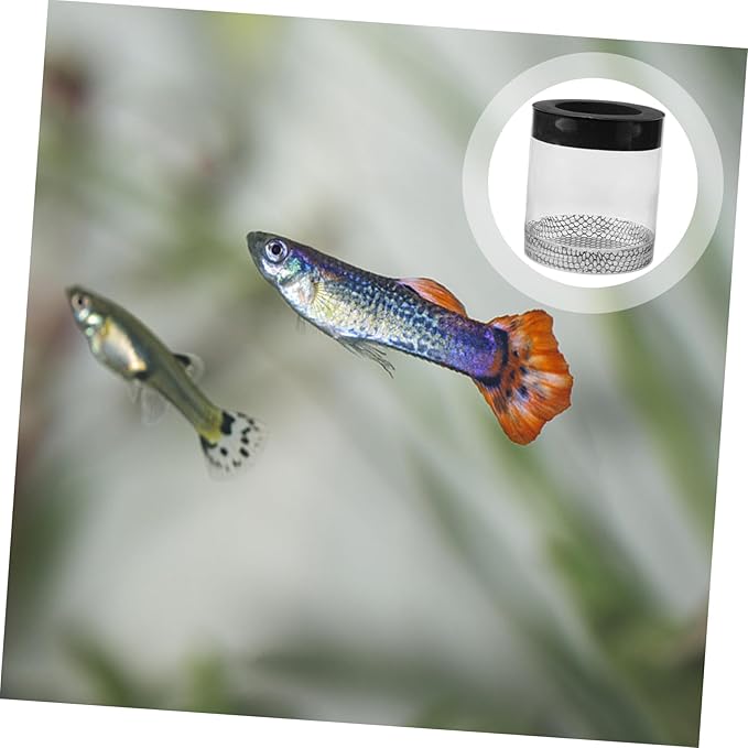 Fish Tank Hatching Box Floating Breeding Box Survival Rate Enhancer for Baby Fry Fish