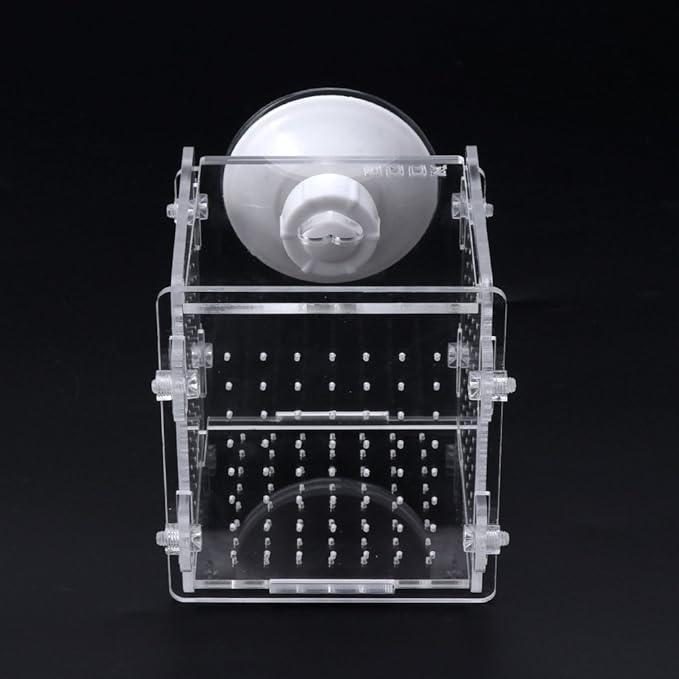 Fish for Tank Hatchery Incubator Aquarium Breeding Box Acrylic Breeder Isolation Hatching Boxes with Suction Cup on Large Net Mesh Aquarium Small Floating Large Mesh