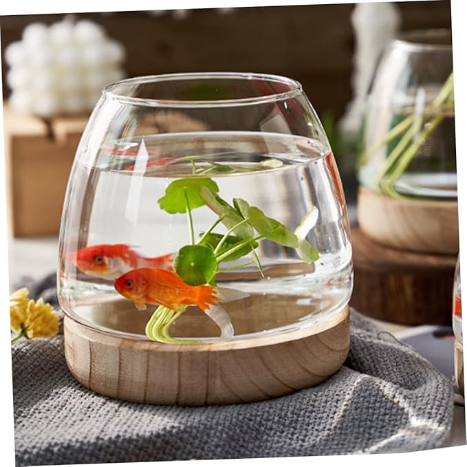 Sosoport 1set Decorative Glass Planter Wooden Base Unique Betta Fish Bowl Hydroponic Plants Container for Desktop Decor for Home Office Wedding Garden Settings