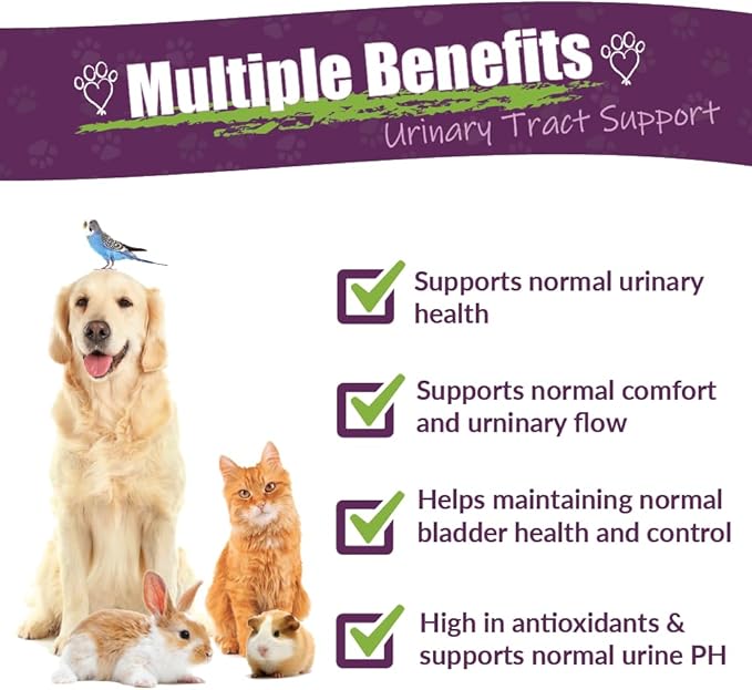 Amber NaturalZ UTR Urinary Tract Herbal Supplement for Dogs, Cats, Birds, Guinea Pigs, and Rabbits | Pet Herbal Supplement for Bladder Support | 1 Fluid Ounce Glass Bottle | Manufactured in The USA