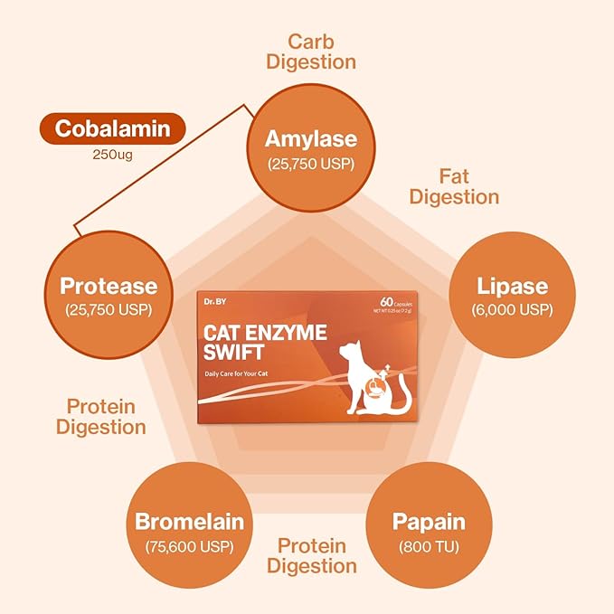 Doctor By Cat Enzyme Swift Cat Digestive Enzyme Supplement Vomiting Diarrhea, Loss of Appetite, Hairball with Pancreatine, Papain, Bromelain, Micro-Size for Easy Swallowing, 60 Sprinkle Capsules