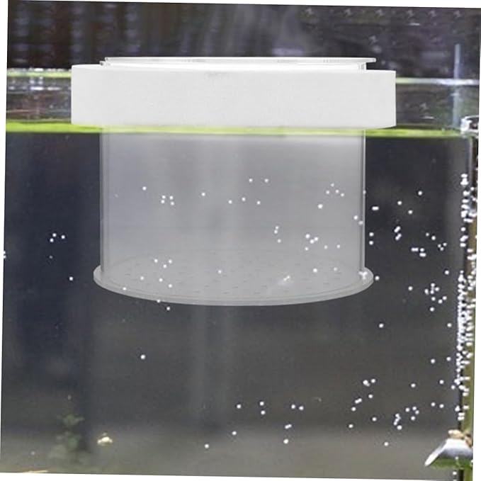 BESPORTBLE Fish Breeding Box Acrylic Isolation Tank for Aquariums Floating Fish Box Transparent Cover Increases Survival Rate and Hatching