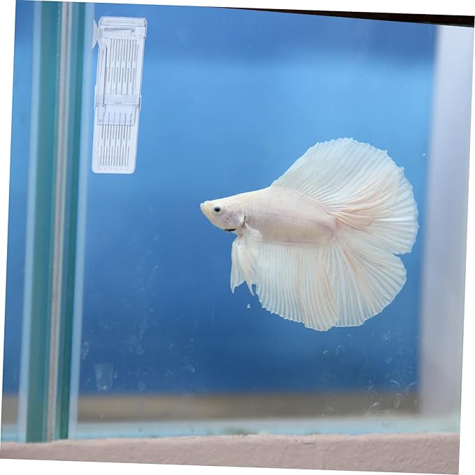 GANAZONO Breeding Tank Isolation Box Transparent Aquarium Fish Hatchery for Fry Separation and Observation Dual Chamber Design Construction