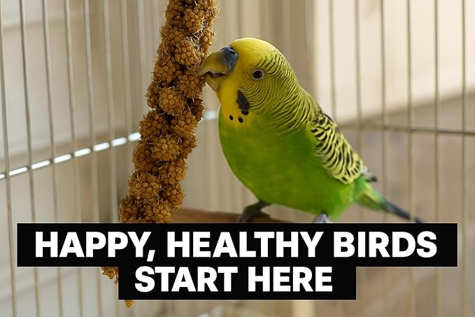 Birds LOVE 5lbs French Kissed Spray Millet for Birds – Harvested in France & Packed in The USA – 100% Natural & Sun‑Dried Millet Spray for Parakeets, Cockatiels, Conures, Parrots & Budgies