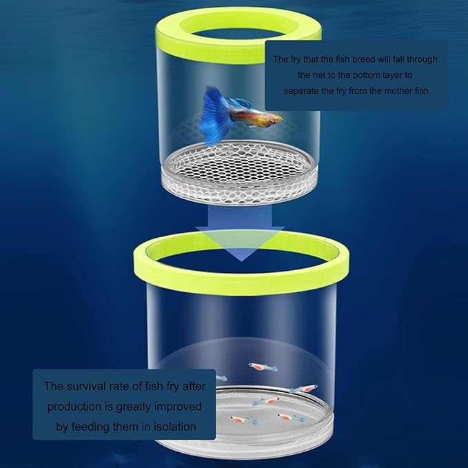Aquariums Breeding Box Hatchery Shelter House for Guppy Bettafish Clownfishs with Divider Design Floating House 3PCS Bettafish Nursery Tanks