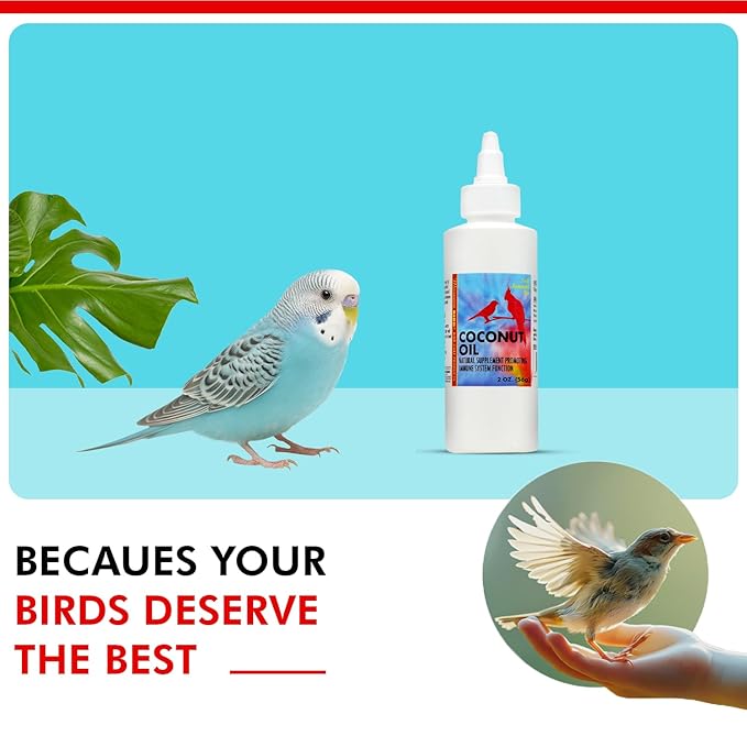 Morning Bird Coconut Oil for Birds 2 oz – Cold Pressed, Organic - Supports Immunity & Digestion – Boosts Energy & Feather Health – Easy to Mix – Safe for All Bird Life Stages