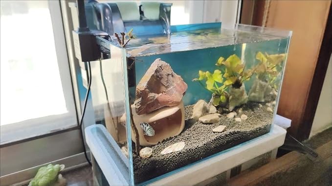 Small Nano Tall Rimless Tank, Glass Fish Tank, Betta Fish Tank, Aquarium (2.85 Gal, 11.8x6.7x7.8 inch)