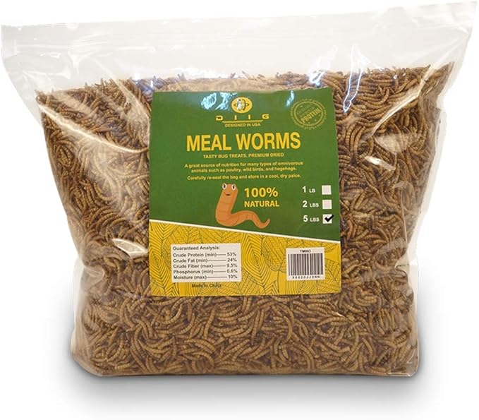 DIIG Non-GMO Dried Mealworms/Crickets/Black Soldier Fly - Treats for Birds Chickens Hedgehog Hamster Fish Reptile Turtles (5 lb, Mealworms)