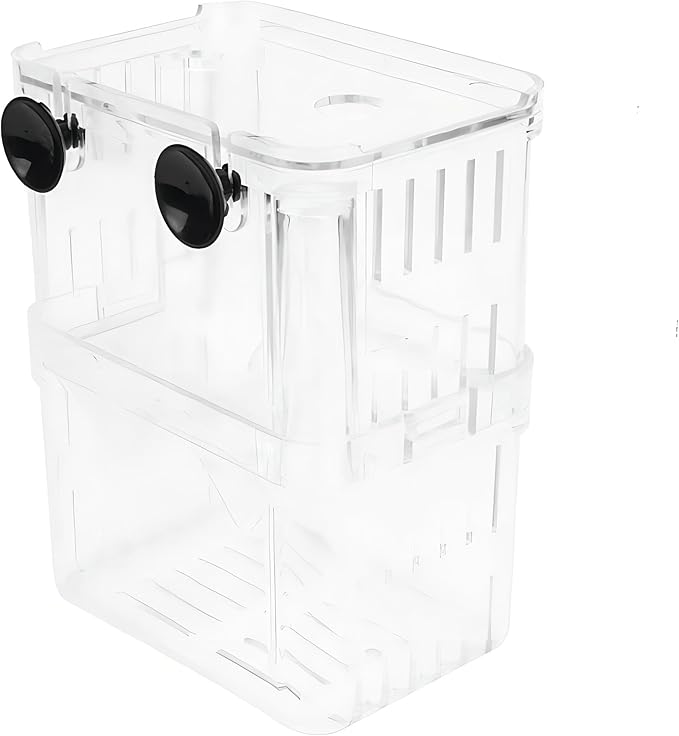Petzilla in-Tank Aquarium Breeder Box for Fish Tank, Breeding Incubator for Small Fish Hatchery, Acrylic Divider for Shrimp Clownfish Aggressive Injured Fish (Large)