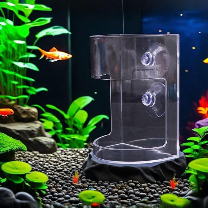 Floating Transparent Plastic Fish Tank Feeding Bowl Tray for Aquarium Breeding Tanks and Keeping Small Tropical Fish