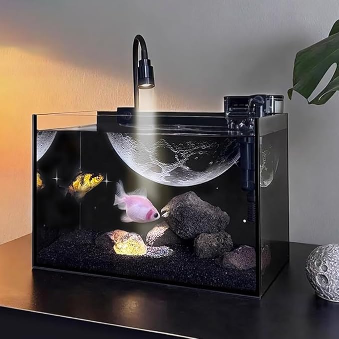 Betta Fish Tank Starter Kit, Aquarium with Lighting and Filtration System, Ultra-Clear Frameless Leak-Proof Tank, Suitable for Keeping Betta Fish
