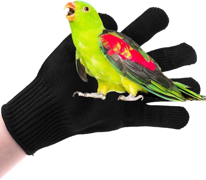 Bird Training Anti-Bite Gloves, Pet Chewing Protective Handling Gloves for Training Bird Conures Finches Macaws Parakeets