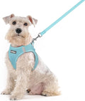 rabbitgoo Dog Harness Medium Sized and Leash Set, Step in Soft Light Puppy Vest, Breathable Mesh Pet Harness, Reflective for Safe Easy Walking, Mint Blue XXL