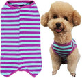 Dog’s Recovery Suit Post Surgery Shirt for Puppy, Wound Protective Clothes for Little Animals(Purple Blue Stripe-xs)