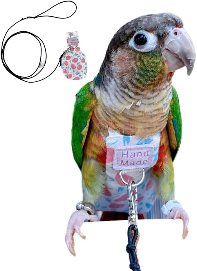 Bird Clothes Parrot Diapers Bird Flight Suits, Reusable Waterproof Diapers pet Bird Supplies (with Rope, XS)