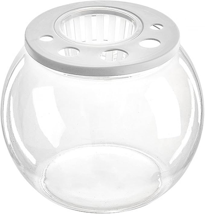 Aquarium Bowl Tabletop with Open Cover for DIY Micro Landscape in Cafe Dorm Room, Round