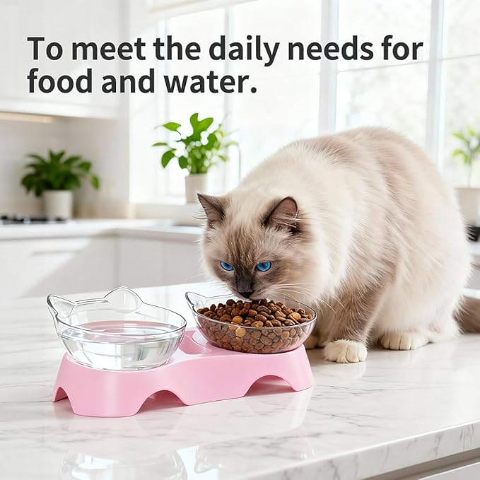 MILIFUN Cat Bowls, Cat Food Bowls Elevated Tilted, Anti Vomiting Kitty Bowl for Puppy and Bunny, Orthopedic Pet Bowl for Indoor. (Pink)