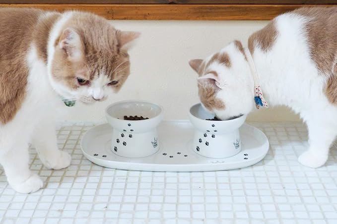 NECOICHI Raised Cat Bowl Dining Tray (Double)