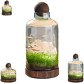 Ecological Aquarium Glass Fish Tank with Wooden Base Micro Landscape Self-circulating Hydroponic Plant Bottle Fish Bowl/Vase(L, A)