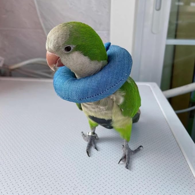 Parrot Neck Collar Pet Anti-bite Picking Feather Healing Protective Neck Cover Collar for Birds Conures Cockatiels Lovebirds Budgies Cockatoos African Grey Random Color (XL)